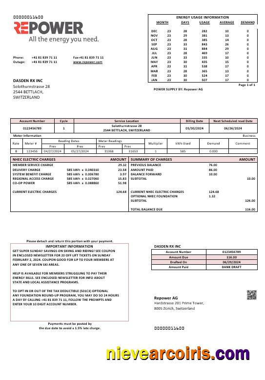Switzerland Repower AG business utility bill